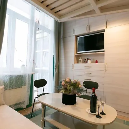 Loft Studio In The City Center Apartment