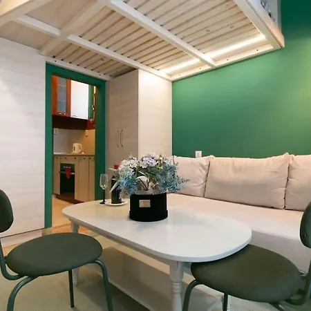 Loft Studio In The City Center Apartment *