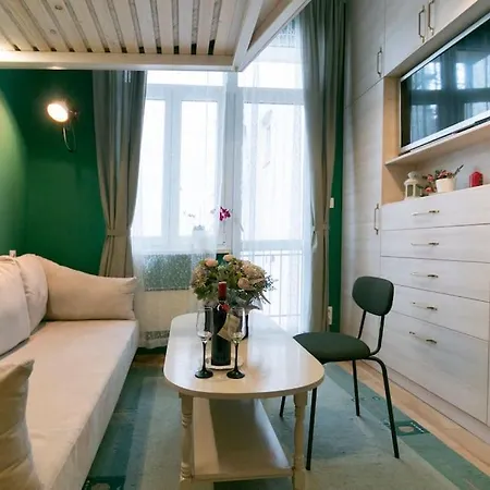 Loft Studio In The City Center Apartment *